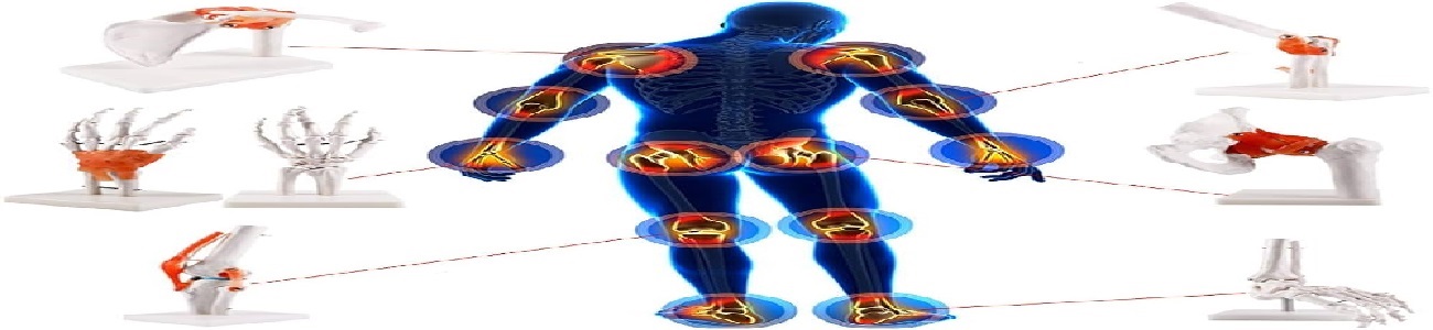 القدم والكتف